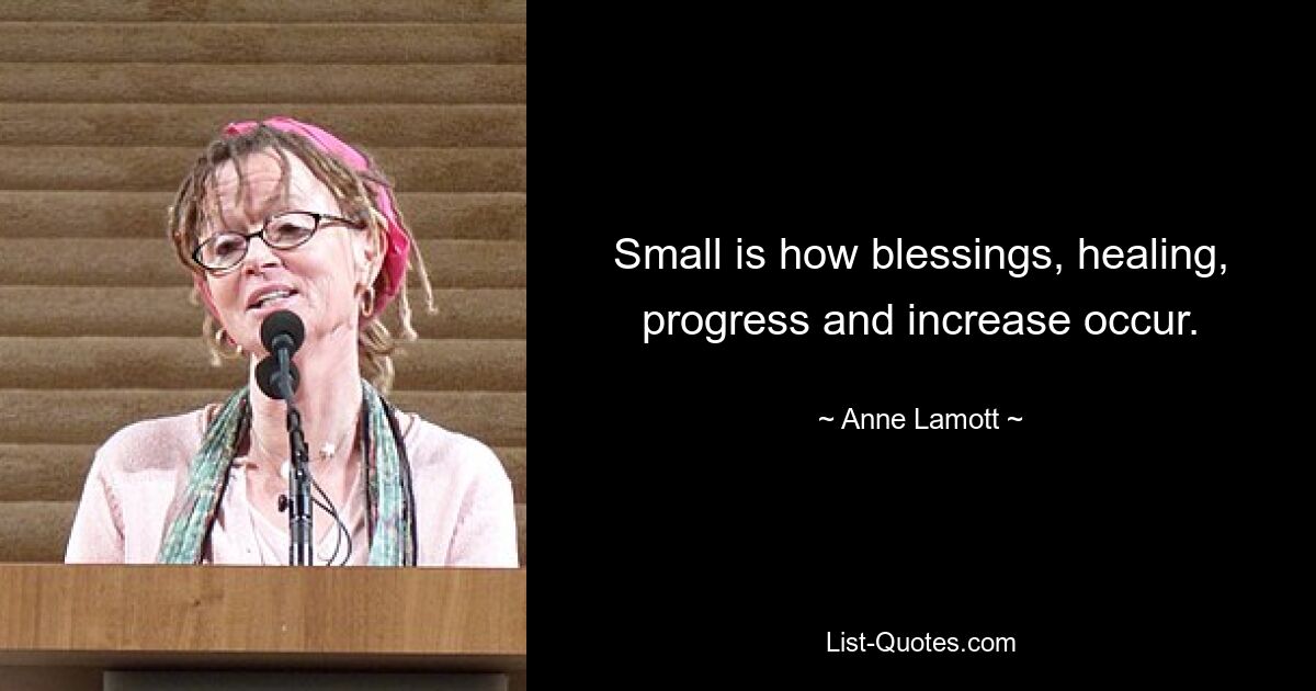 Small is how blessings, healing, progress and increase occur. — © Anne Lamott