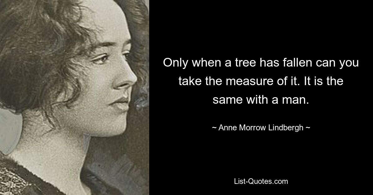 Only when a tree has fallen can you take the measure of it. It is the same with a man. — © Anne Morrow Lindbergh