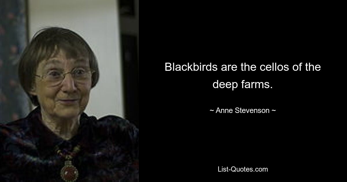 Blackbirds are the cellos of the deep farms. — © Anne Stevenson