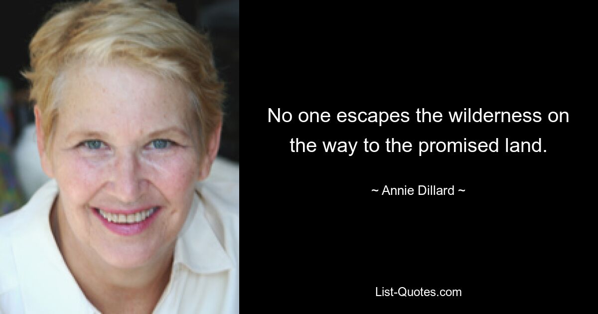 No one escapes the wilderness on the way to the promised land. — © Annie Dillard