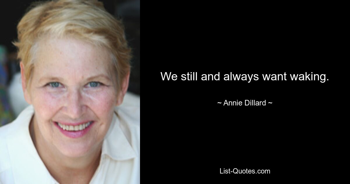 We still and always want waking. — © Annie Dillard