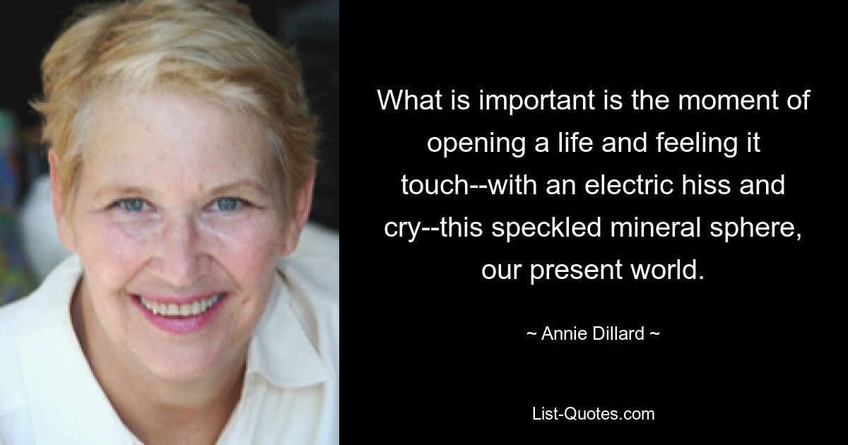 What is important is the moment of opening a life and feeling it touch--with an electric hiss and cry--this speckled mineral sphere, our present world. — © Annie Dillard