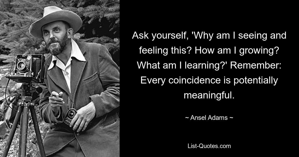 Ask yourself, 'Why am I seeing and feeling this? How am I growing? What am I learning?' Remember: Every coincidence is potentially meaningful. — © Ansel Adams