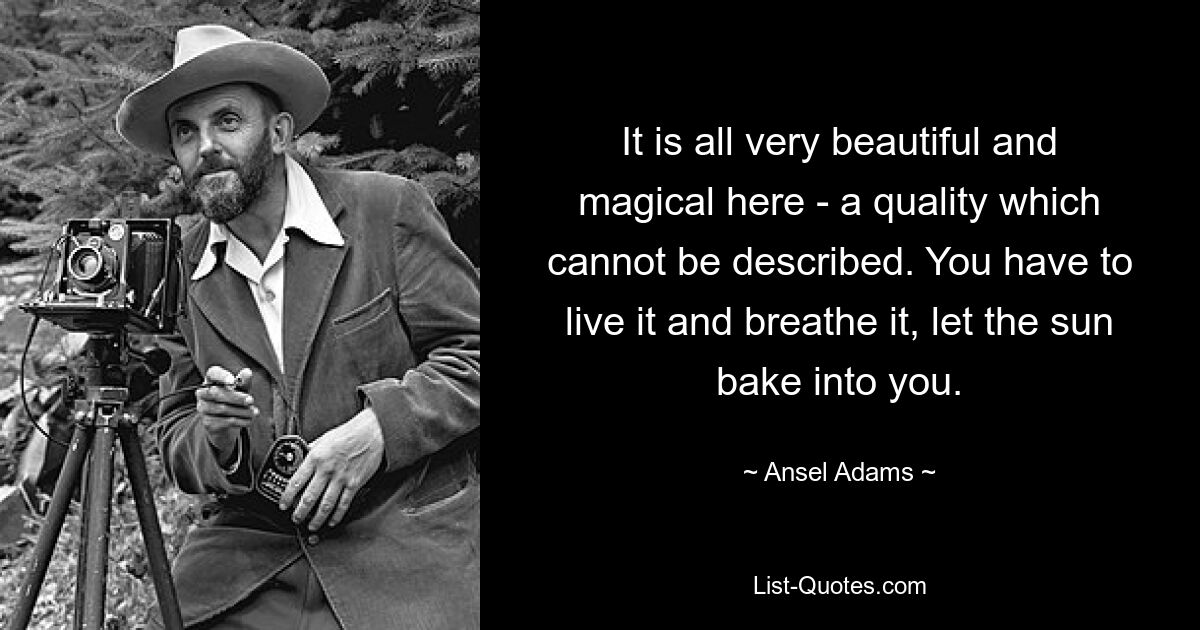 It is all very beautiful and magical here - a quality which cannot be described. You have to live it and breathe it, let the sun bake into you. — © Ansel Adams