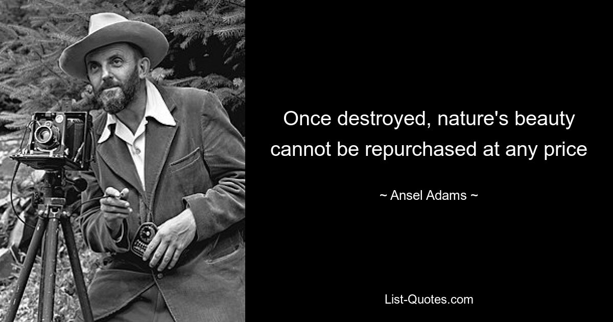 Once destroyed, nature's beauty cannot be repurchased at any price — © Ansel Adams