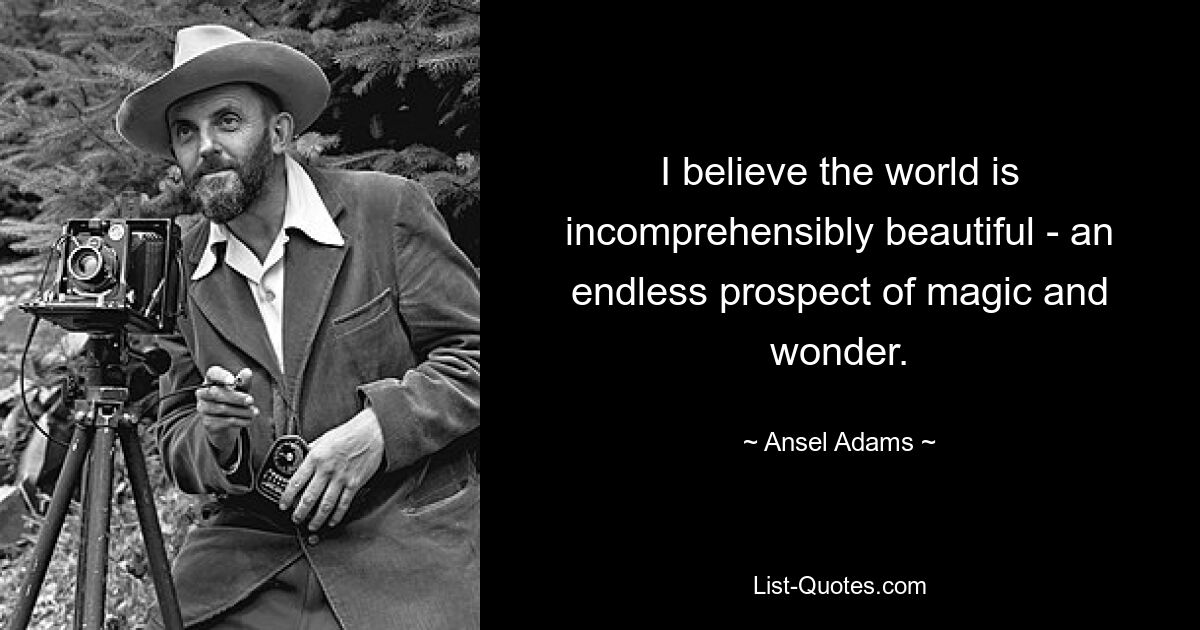 Ich glaube, dass die Welt unfassbar schön ist – eine endlose Aussicht auf Magie und Wunder. — © Ansel Adams 