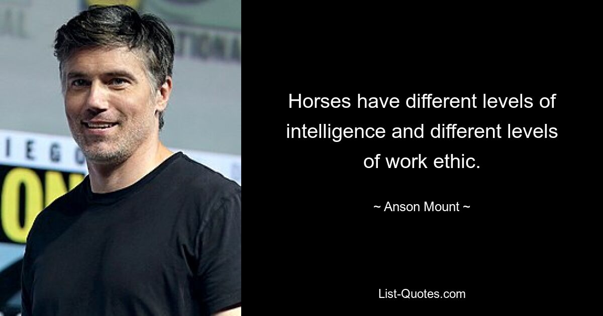 Horses have different levels of intelligence and different levels of work ethic. — © Anson Mount