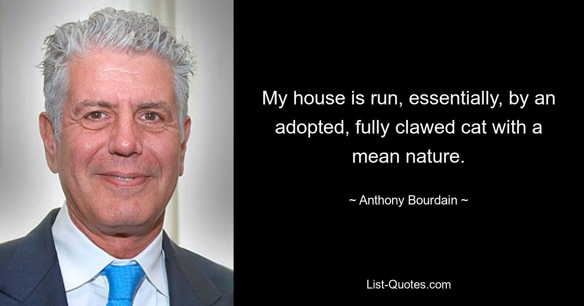 My house is run, essentially, by an adopted, fully clawed cat with a mean nature. — © Anthony Bourdain