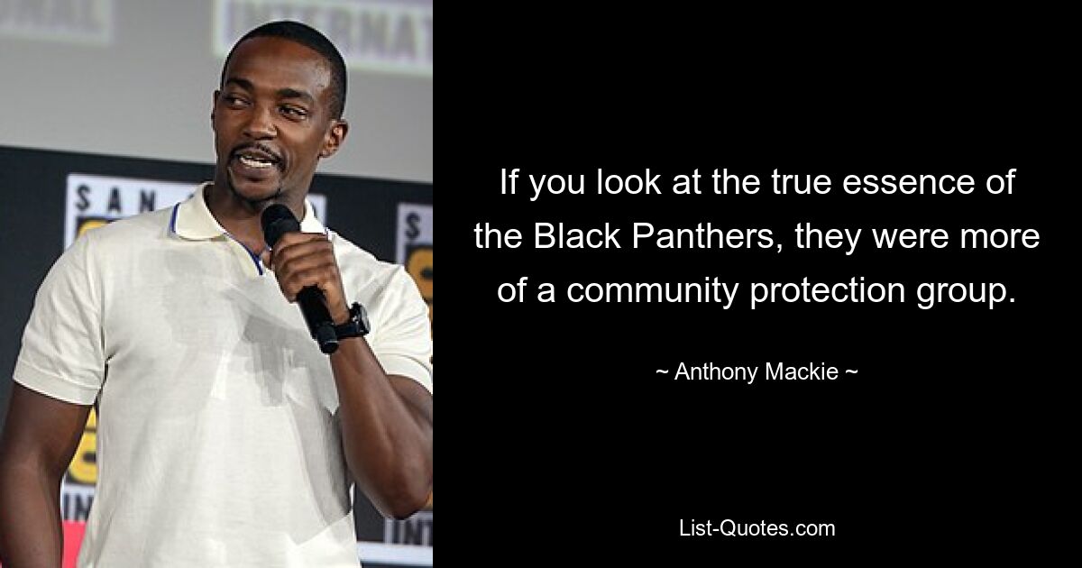 If you look at the true essence of the Black Panthers, they were more of a community protection group. — © Anthony Mackie