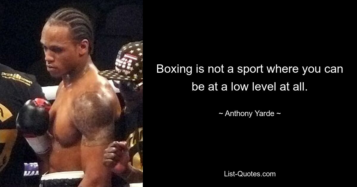 Boxing is not a sport where you can be at a low level at all. — © Anthony Yarde