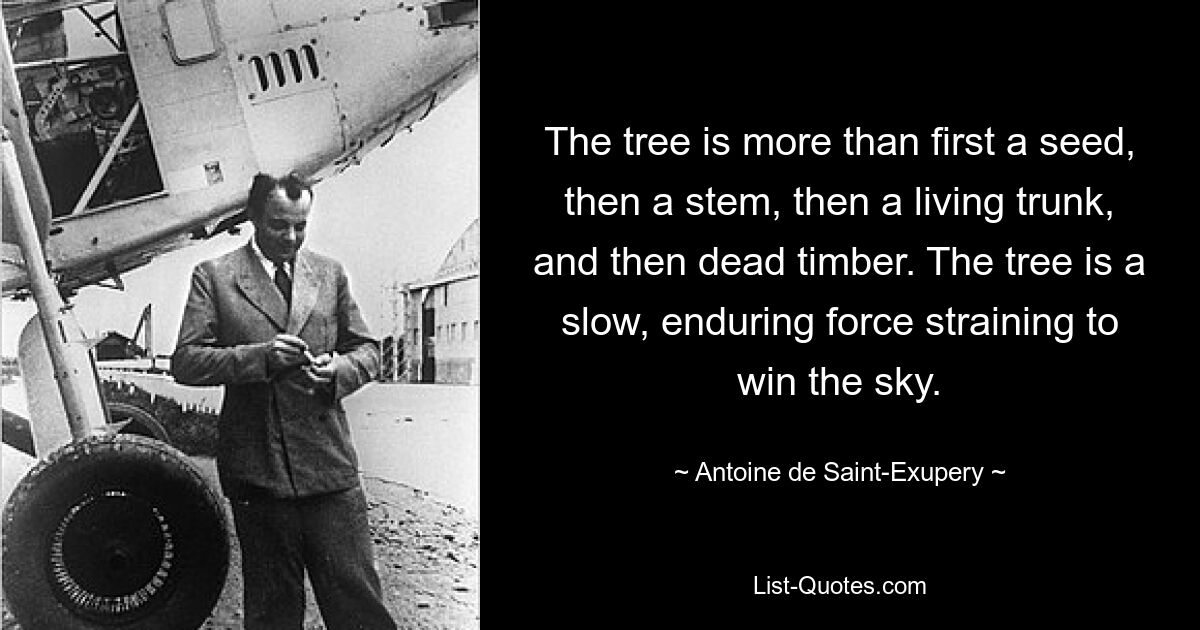 The tree is more than first a seed, then a stem, then a living trunk, and then dead timber. The tree is a slow, enduring force straining to win the sky. — © Antoine de Saint-Exupery