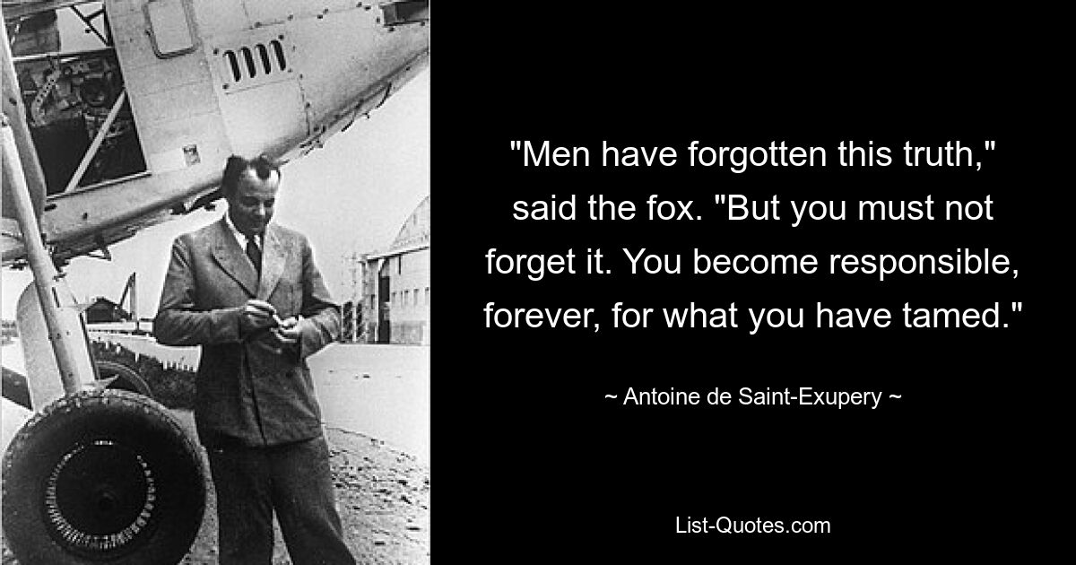 "Men have forgotten this truth," said the fox. "But you must not forget it. You become responsible, forever, for what you have tamed." — © Antoine de Saint-Exupery