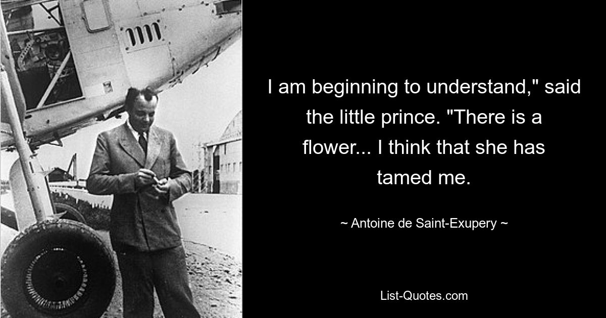 I am beginning to understand," said the little prince. "There is a flower... I think that she has tamed me. — © Antoine de Saint-Exupery