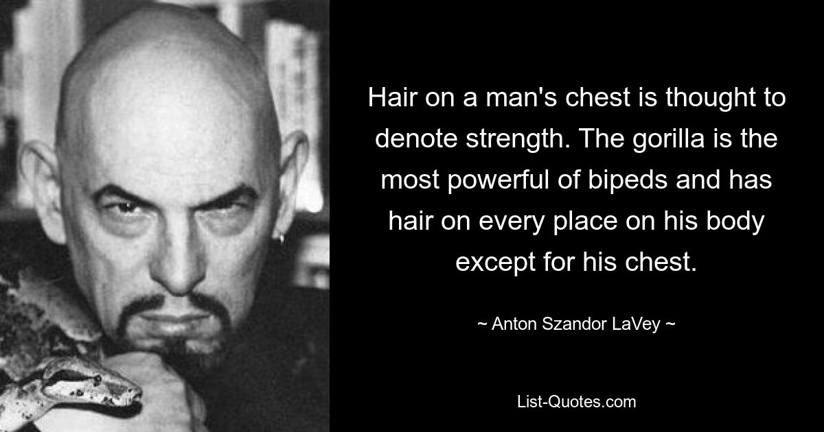 Hair on a man's chest is thought to denote strength. The gorilla is the most powerful of bipeds and has hair on every place on his body except for his chest. — © Anton Szandor LaVey