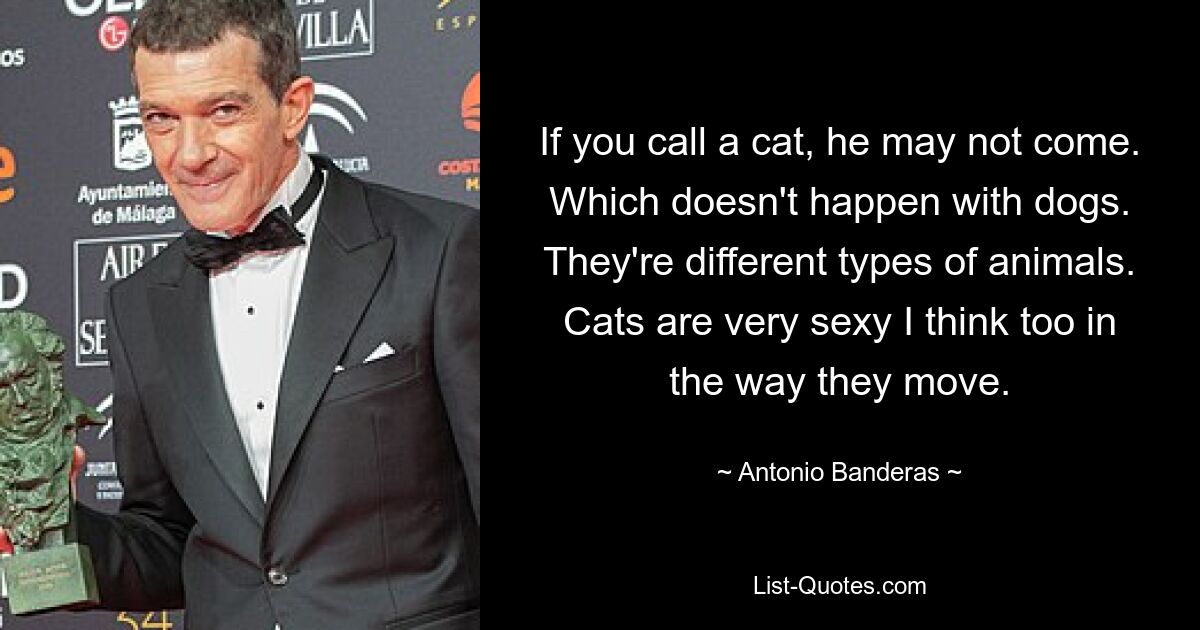 If you call a cat, he may not come. Which doesn't happen with dogs. They're different types of animals. Cats are very sexy I think too in the way they move. — © Antonio Banderas