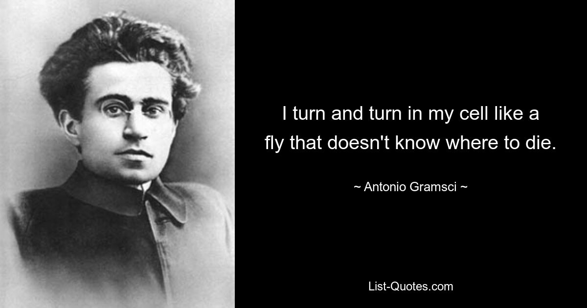 I turn and turn in my cell like a fly that doesn't know where to die. — © Antonio Gramsci