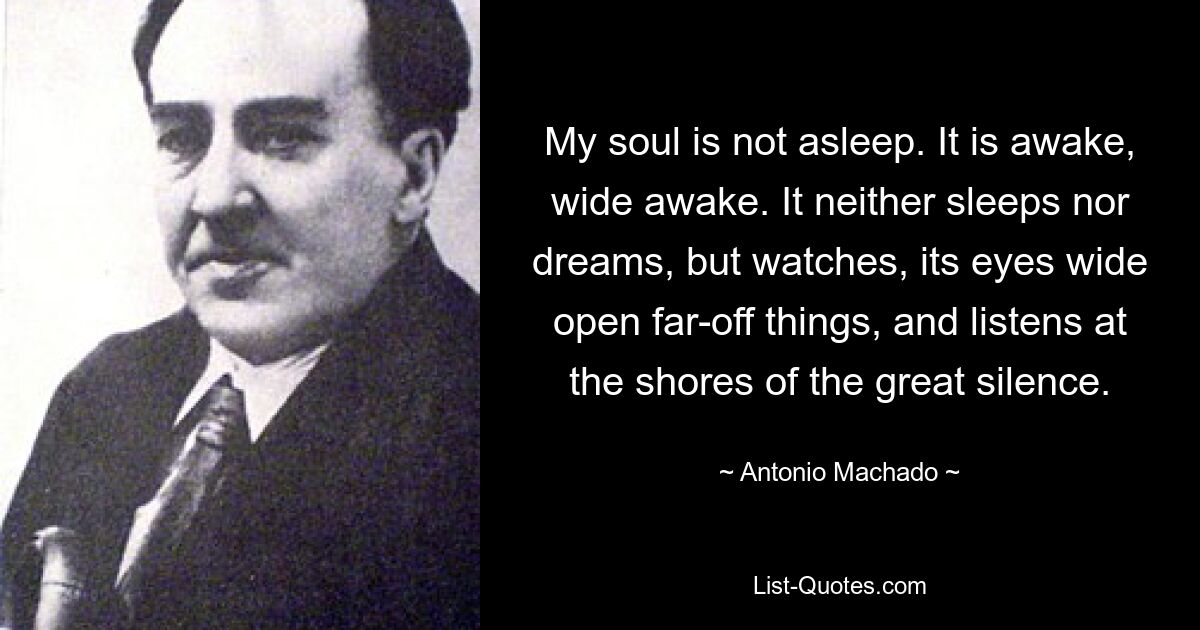 Meine Seele schläft nicht. Es ist wach, hellwach. Es schläft nicht und träumt nicht, sondern beobachtet mit weit geöffneten Augen ferne Dinge und lauscht an den Ufern der großen Stille. — © Antonio Machado