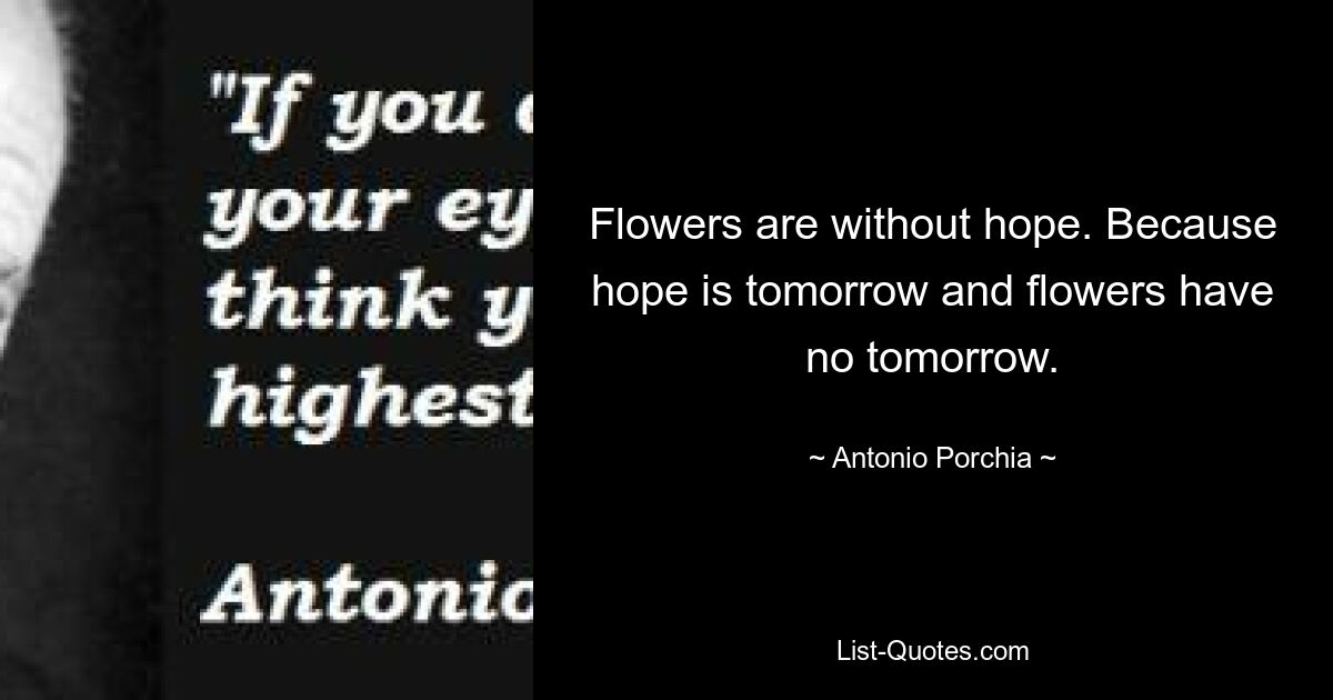 Flowers are without hope. Because hope is tomorrow and flowers have no tomorrow. — © Antonio Porchia