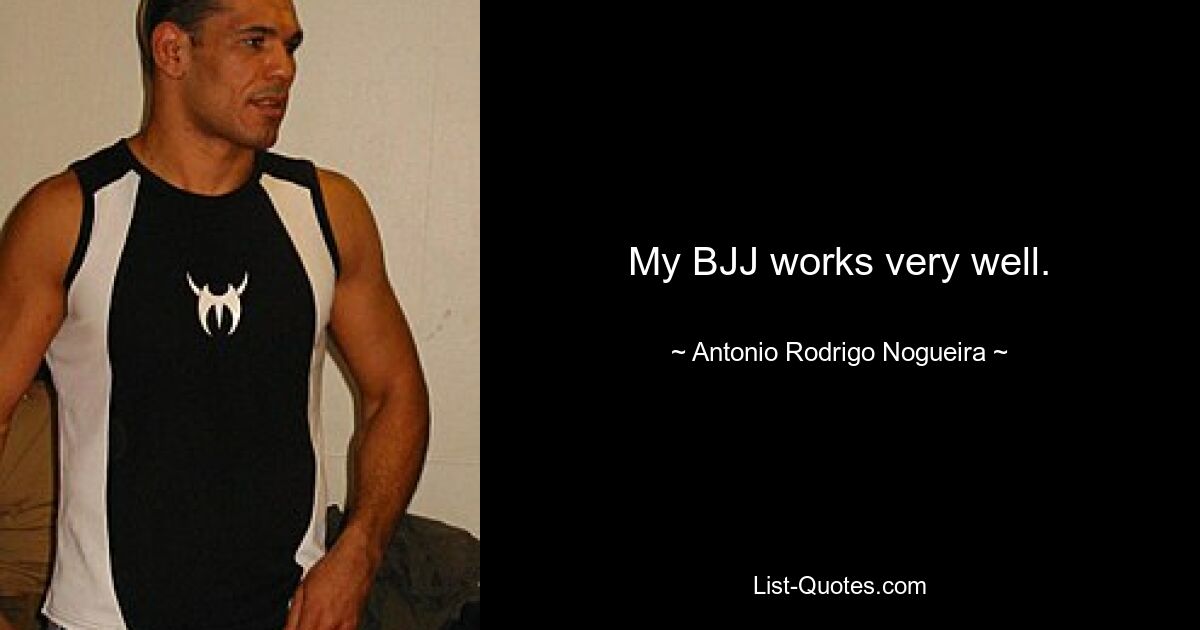 My BJJ works very well. — © Antonio Rodrigo Nogueira