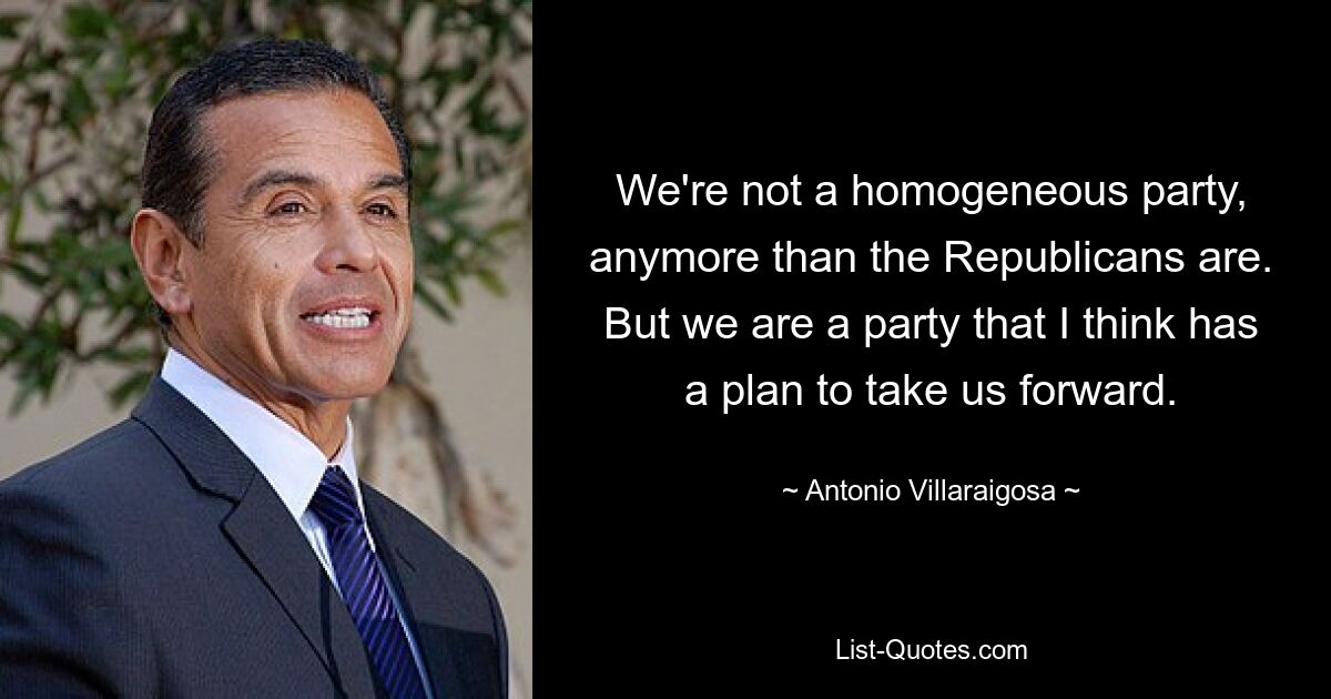 We're not a homogeneous party, anymore than the Republicans are. But we are a party that I think has a plan to take us forward. — © Antonio Villaraigosa