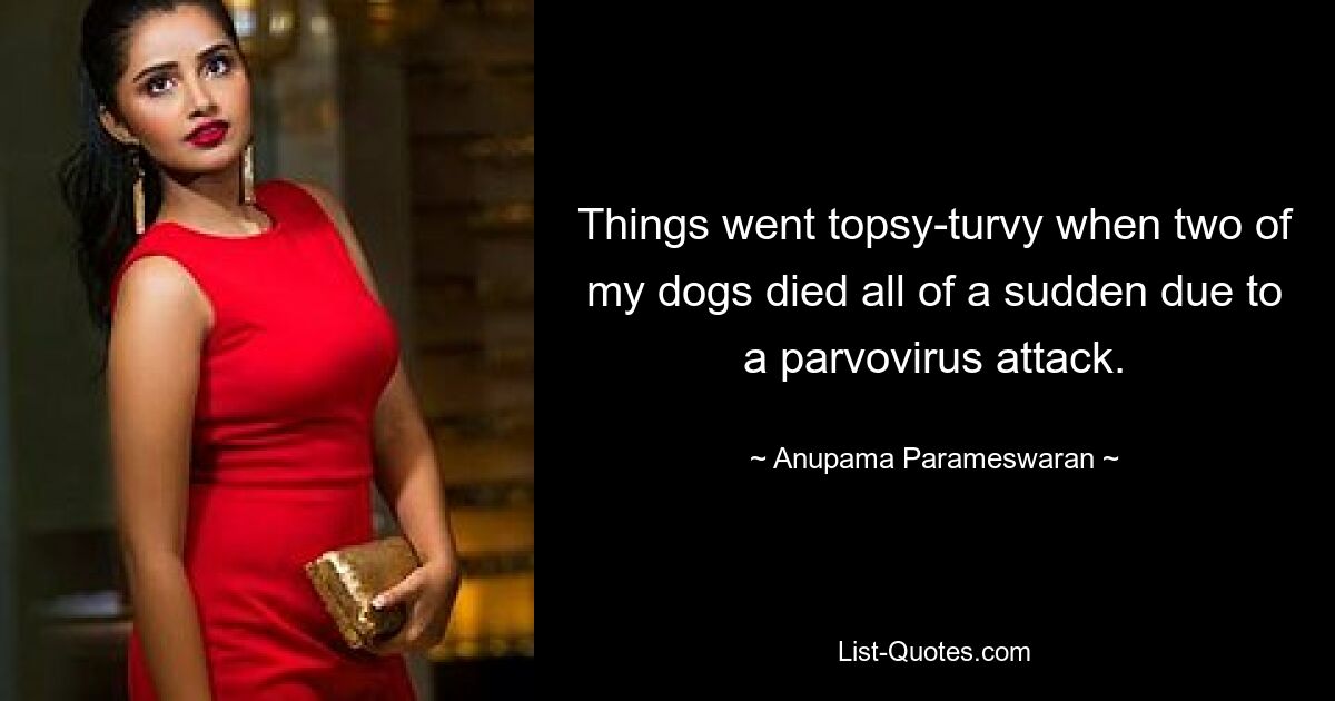 Things went topsy-turvy when two of my dogs died all of a sudden due to a parvovirus attack. — © Anupama Parameswaran