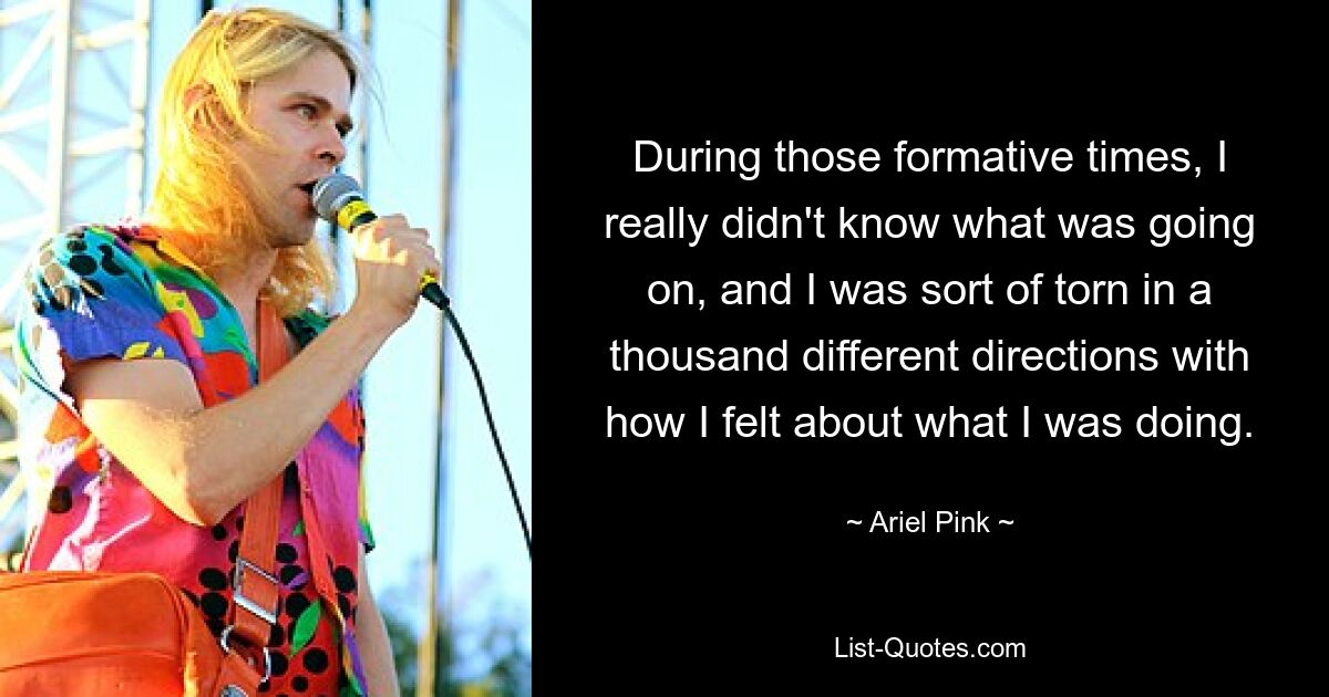 During those formative times, I really didn't know what was going on, and I was sort of torn in a thousand different directions with how I felt about what I was doing. — © Ariel Pink