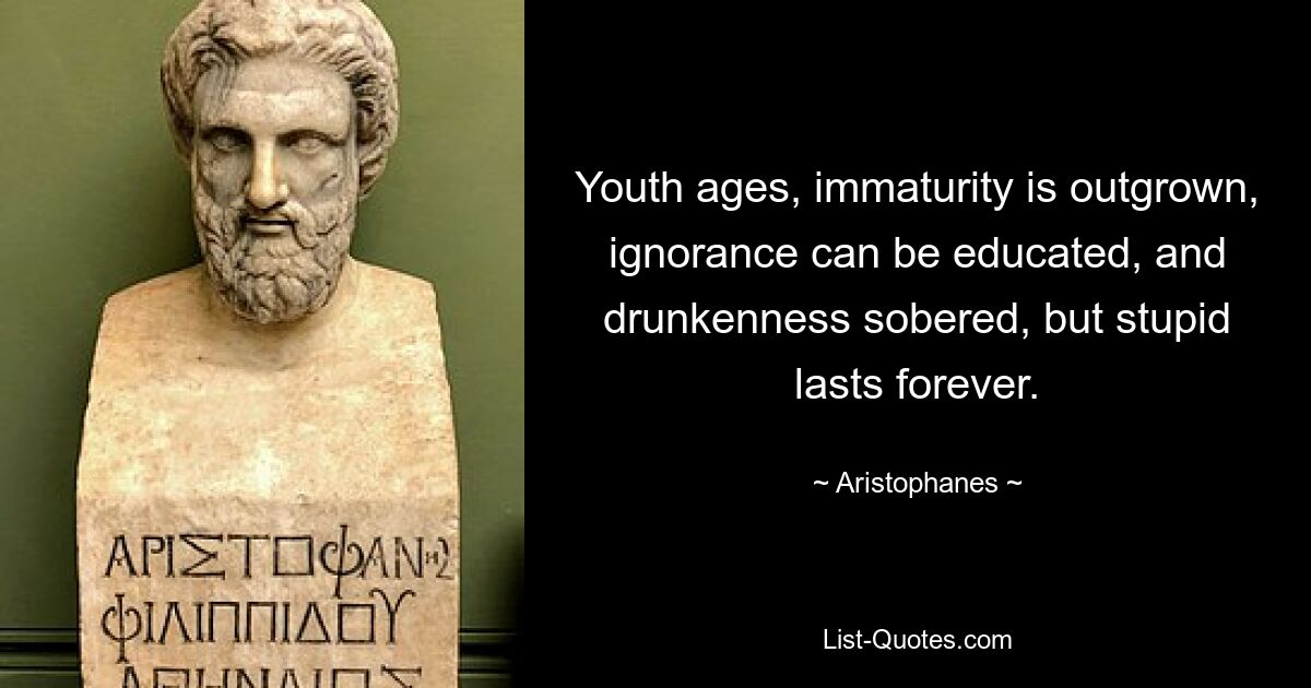 Youth ages, immaturity is outgrown, ignorance can be educated, and drunkenness sobered, but stupid lasts forever. — © Aristophanes