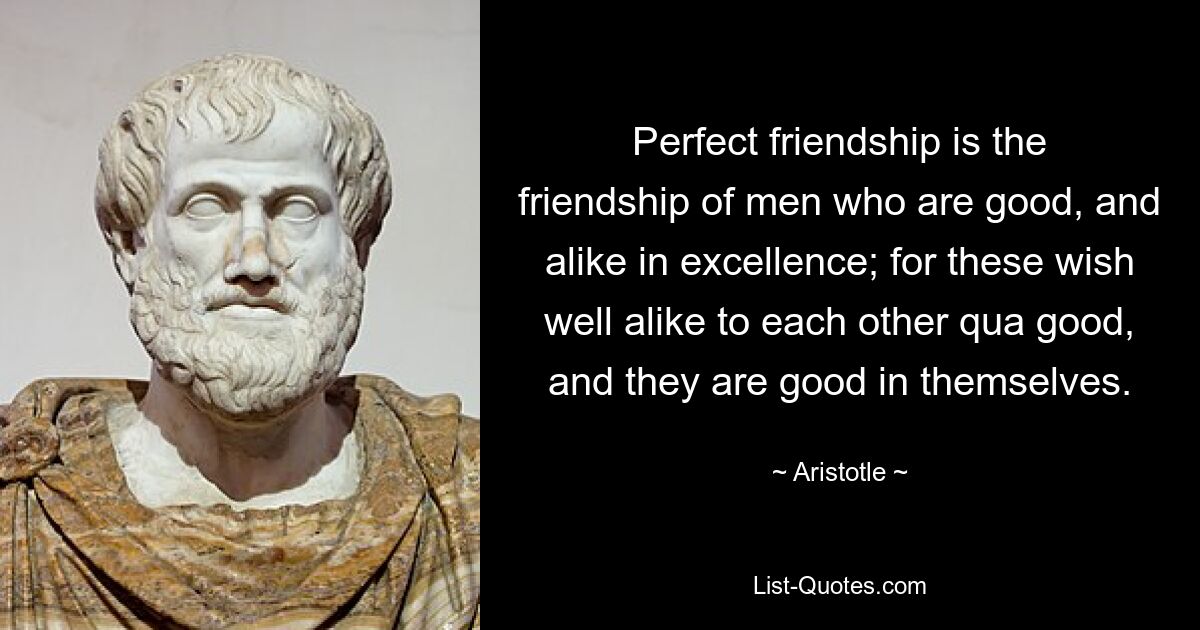 Perfect friendship is the friendship of men who are good, and alike in excellence; for these wish well alike to each other qua good, and they are good in themselves. — © Aristotle