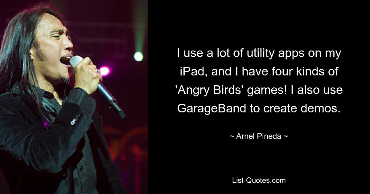 I use a lot of utility apps on my iPad, and I have four kinds of 'Angry Birds' games! I also use GarageBand to create demos. — © Arnel Pineda