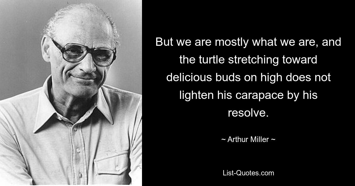 But we are mostly what we are, and the turtle stretching toward delicious buds on high does not lighten his carapace by his resolve. — © Arthur Miller