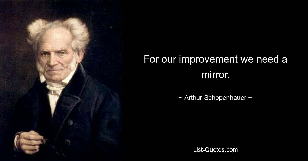 For our improvement we need a mirror. — © Arthur Schopenhauer