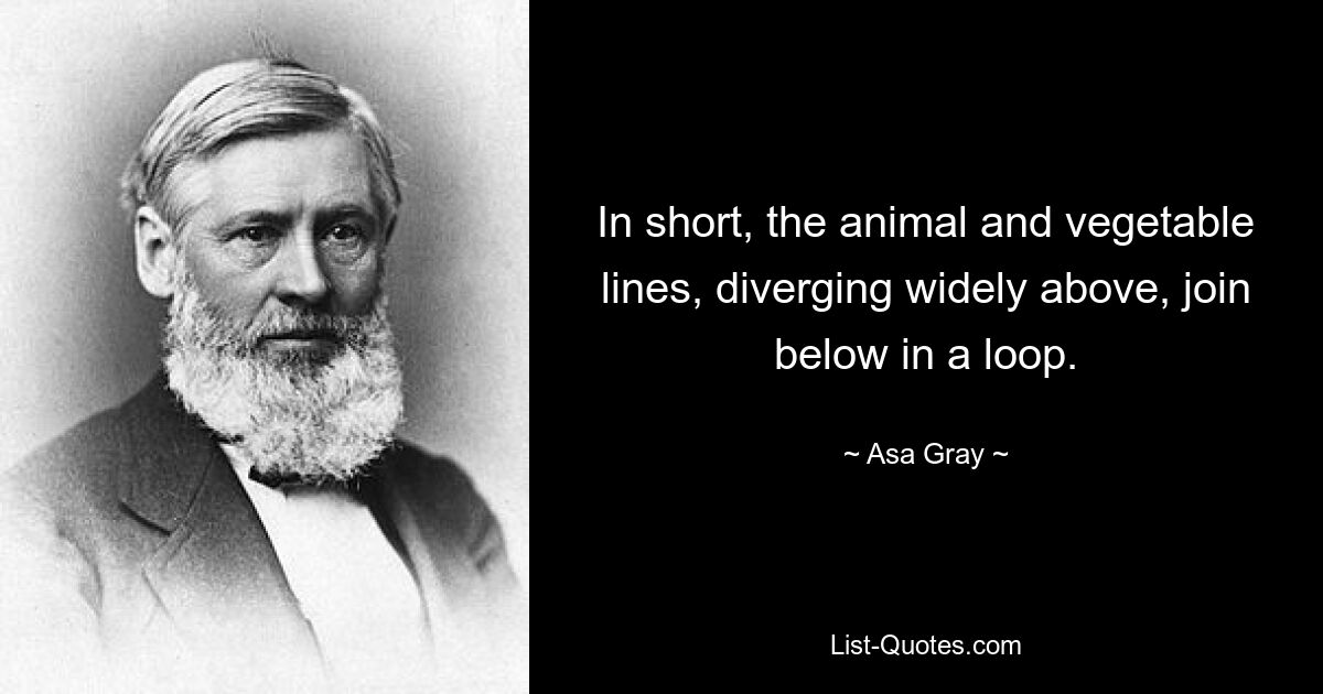 In short, the animal and vegetable lines, diverging widely above, join below in a loop. — © Asa Gray