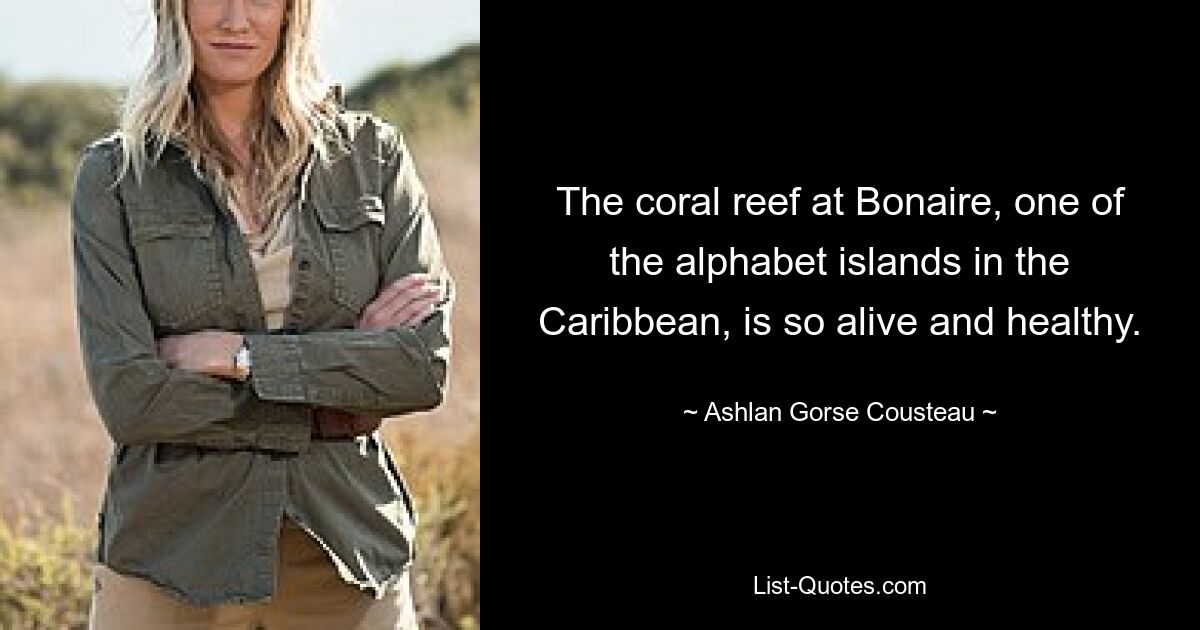 The coral reef at Bonaire, one of the alphabet islands in the Caribbean, is so alive and healthy. — © Ashlan Gorse Cousteau