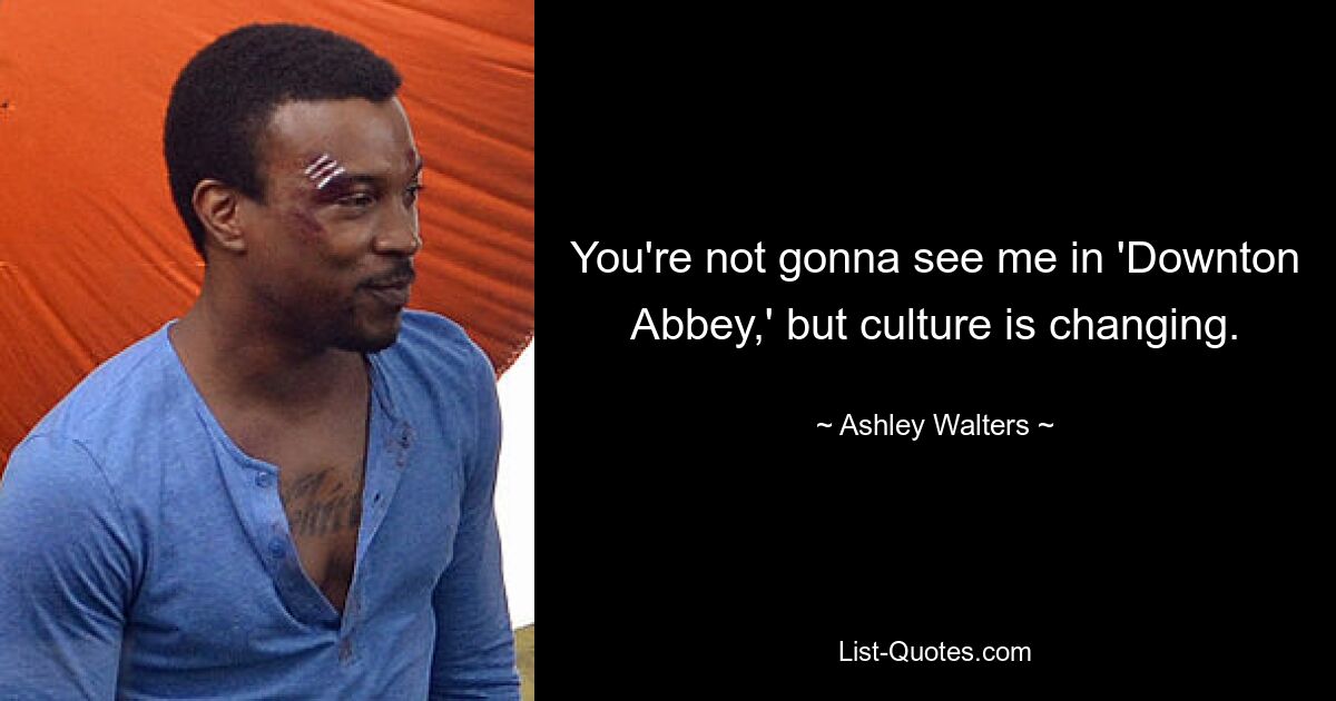 You're not gonna see me in 'Downton Abbey,' but culture is changing. — © Ashley Walters