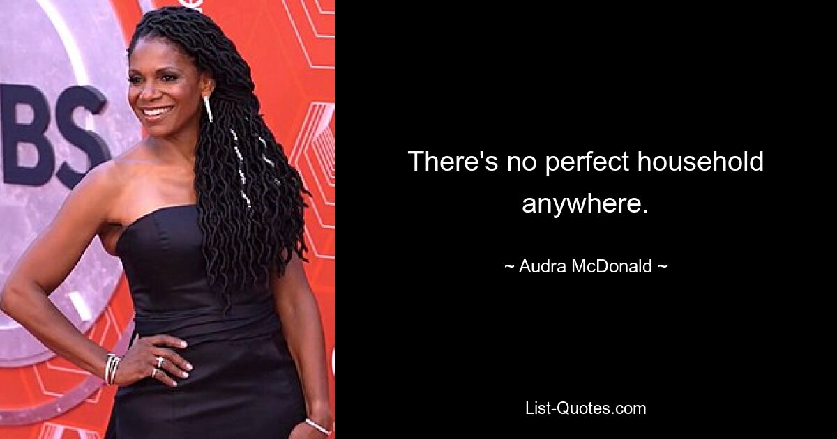 There's no perfect household anywhere. — © Audra McDonald