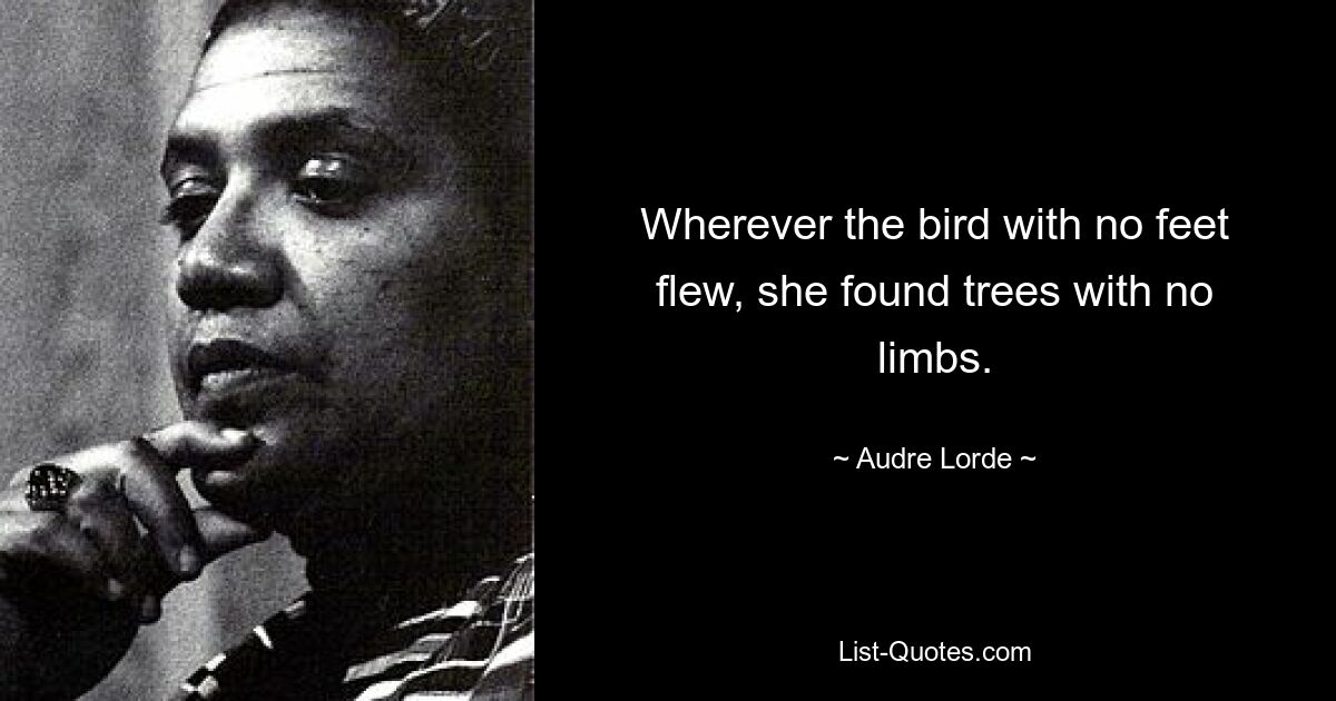 Wherever the bird with no feet flew, she found trees with no limbs. — © Audre Lorde