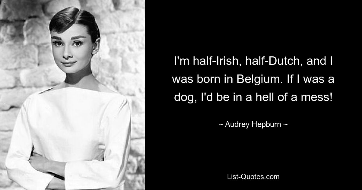 I'm half-Irish, half-Dutch, and I was born in Belgium. If I was a dog, I'd be in a hell of a mess! — © Audrey Hepburn