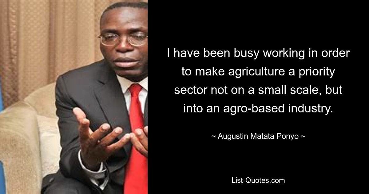 I have been busy working in order to make agriculture a priority sector not on a small scale, but into an agro-based industry. — © Augustin Matata Ponyo