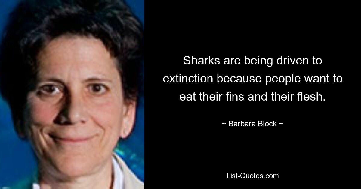 Sharks are being driven to extinction because people want to eat their fins and their flesh. — © Barbara Block