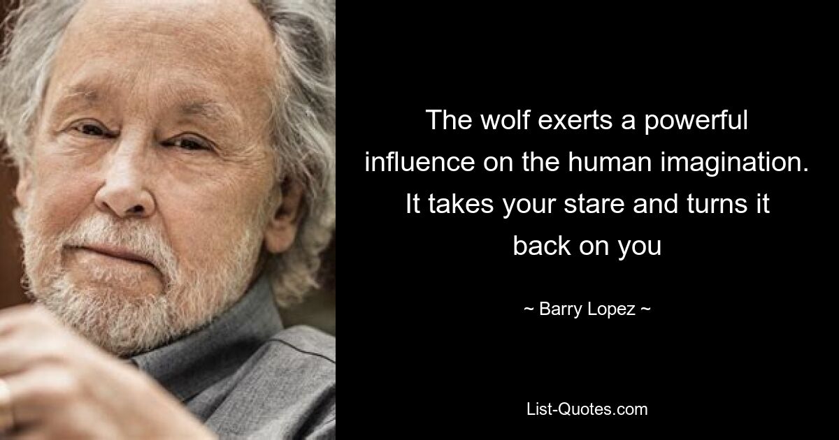 The wolf exerts a powerful influence on the human imagination. It takes your stare and turns it back on you — © Barry Lopez