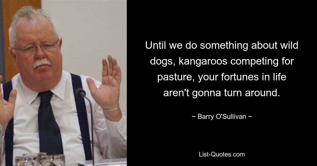 Until we do something about wild dogs, kangaroos competing for pasture, your fortunes in life aren't gonna turn around. — © Barry O'Sullivan