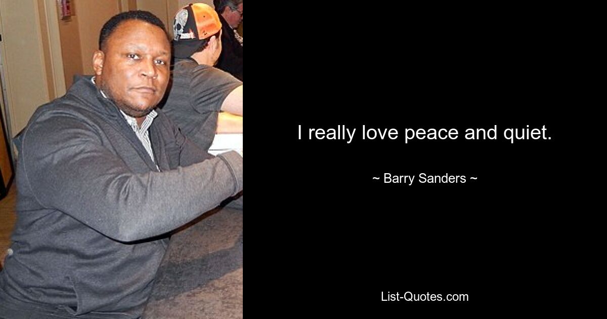 I really love peace and quiet. — © Barry Sanders