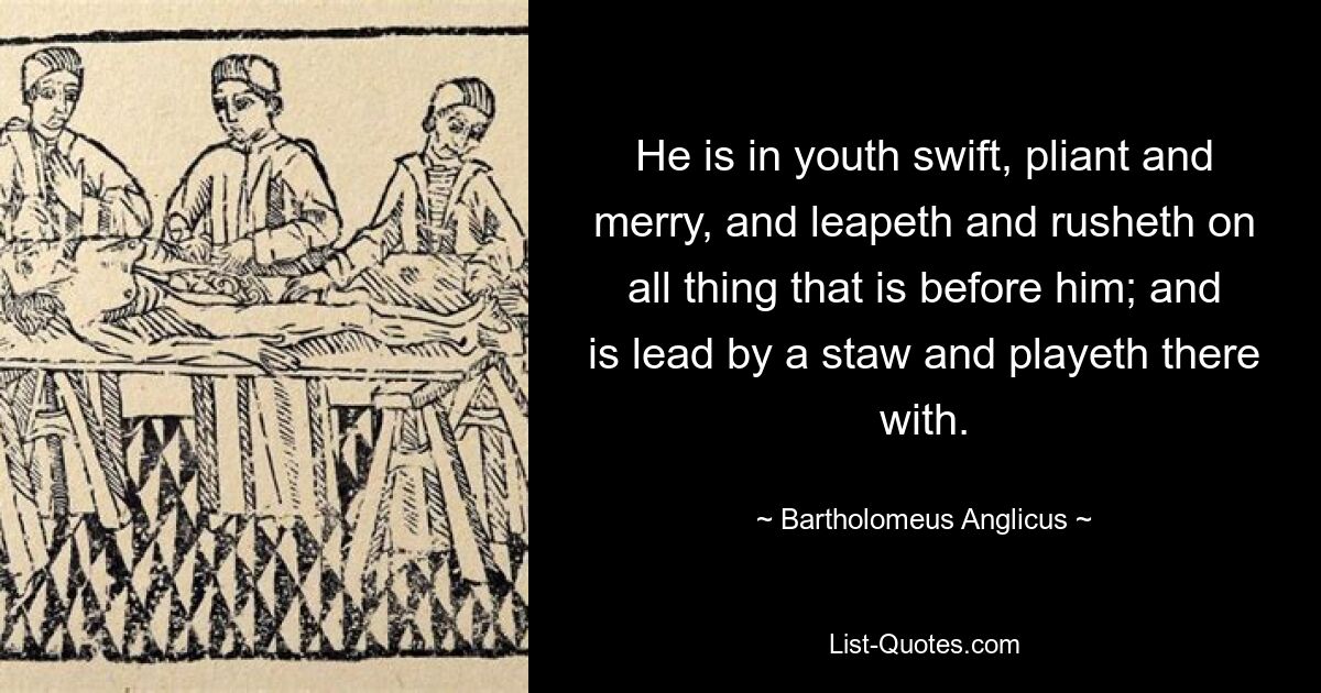 He is in youth swift, pliant and merry, and leapeth and rusheth on all thing that is before him; and is lead by a staw and playeth there with. — © Bartholomeus Anglicus