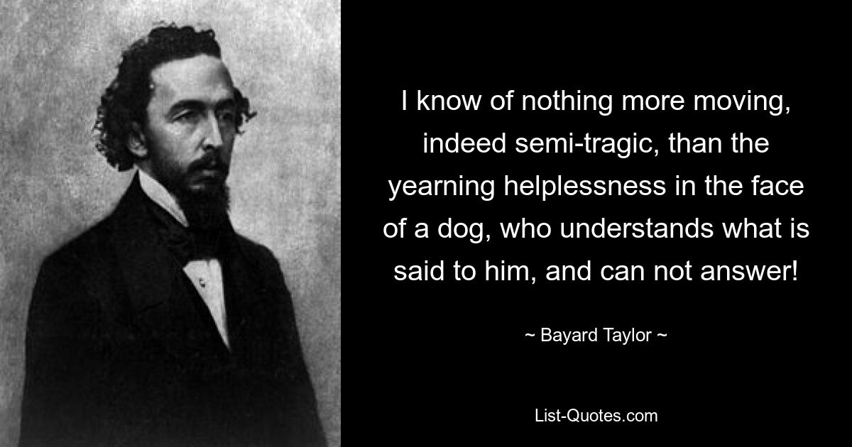 I know of nothing more moving, indeed semi-tragic, than the yearning helplessness in the face of a dog, who understands what is said to him, and can not answer! — © Bayard Taylor