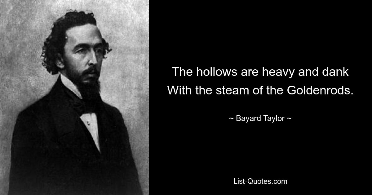 The hollows are heavy and dank
With the steam of the Goldenrods. — © Bayard Taylor