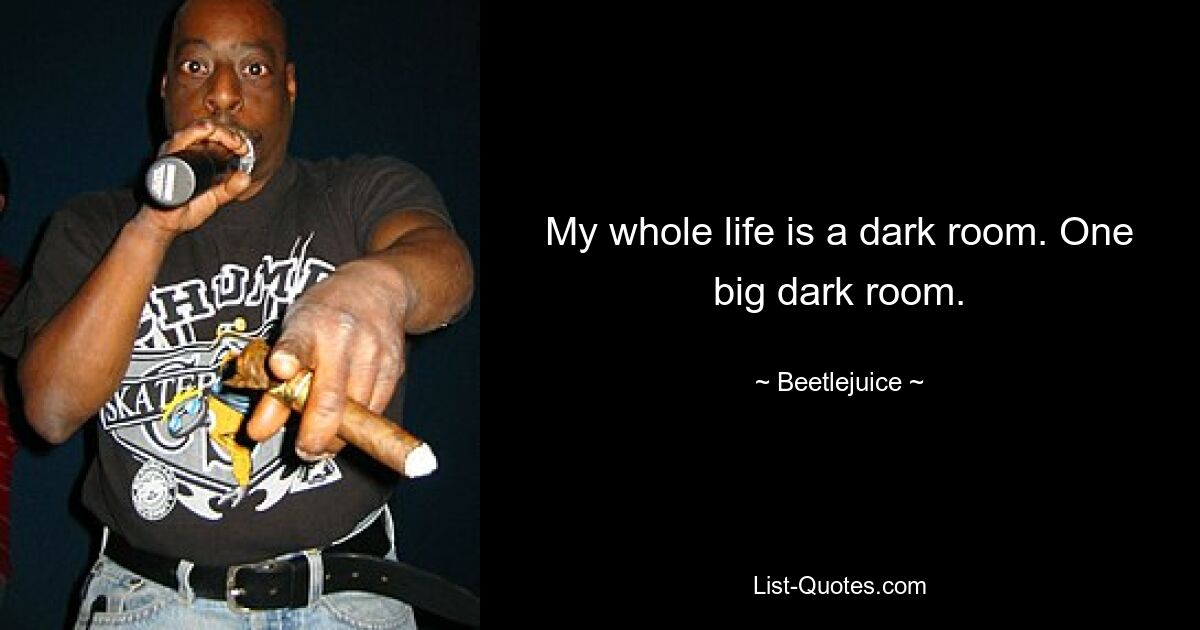 My whole life is a dark room. One big dark room. — © Beetlejuice