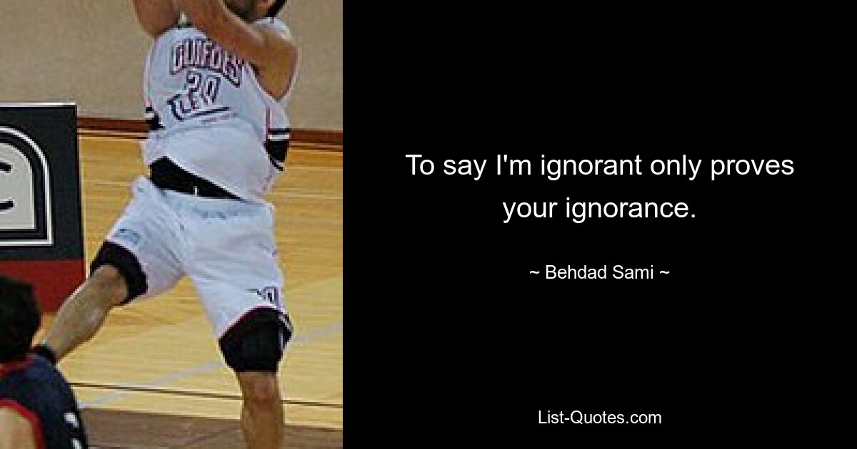 To say I'm ignorant only proves your ignorance. — © Behdad Sami