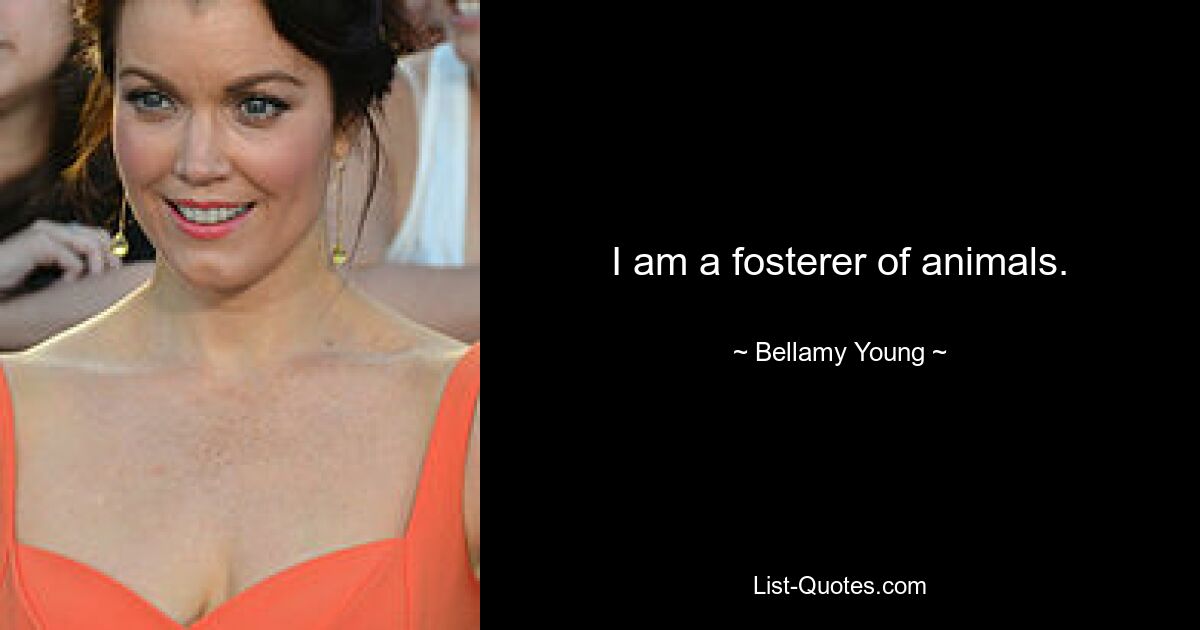 I am a fosterer of animals. — © Bellamy Young