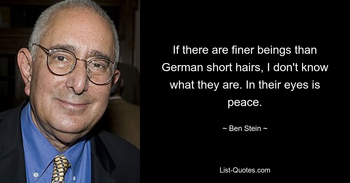 If there are finer beings than German short hairs, I don't know what they are. In their eyes is peace. — © Ben Stein