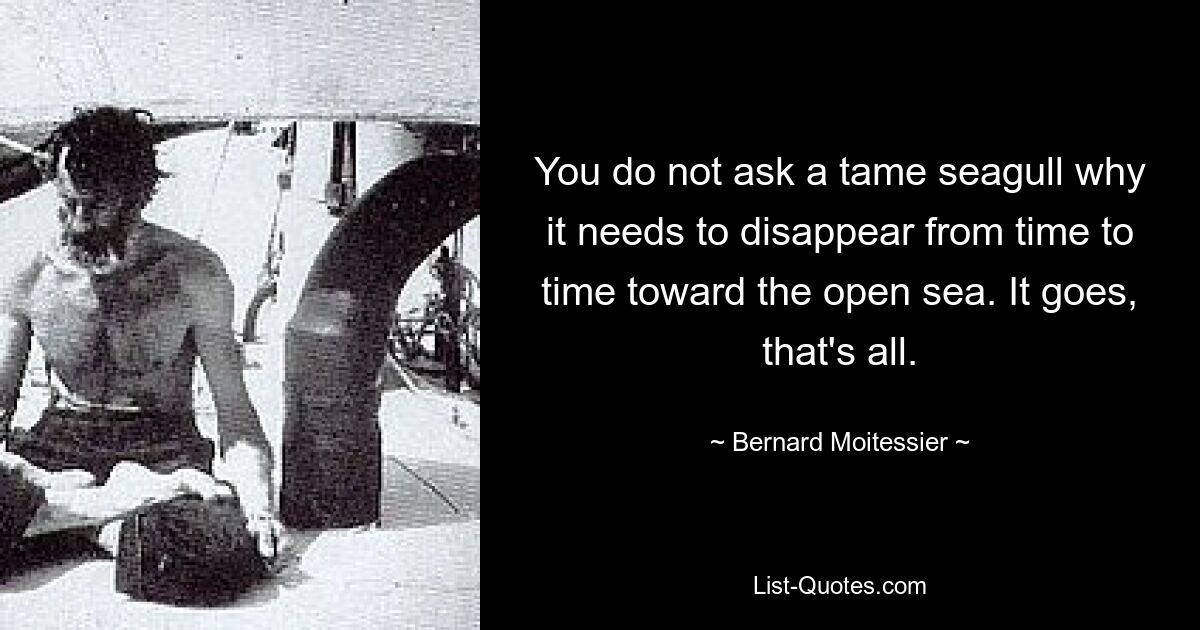 You do not ask a tame seagull why it needs to disappear from time to time toward the open sea. It goes, that's all. — © Bernard Moitessier